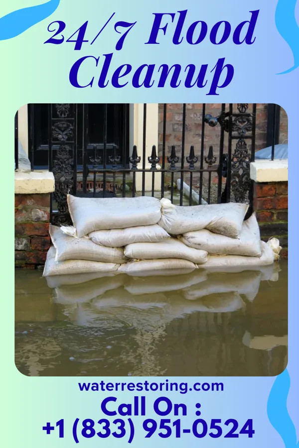 24/7 Flood Cleanup in Biwabik, MN