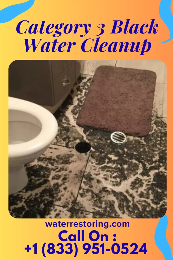 Category 3 Black Water Cleanup in Biwabik, MN