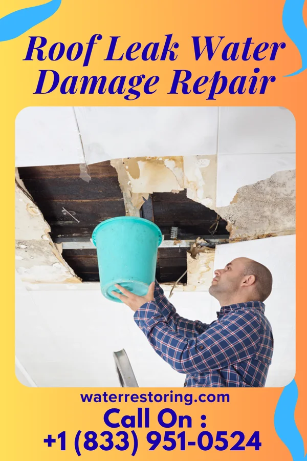 Roof Leak Water Damage Repair in Biwabik, MN