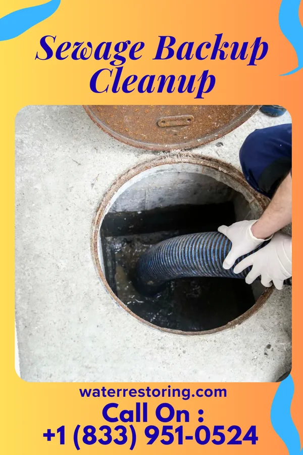 Sewage Backup Cleanup in Biwabik, MN